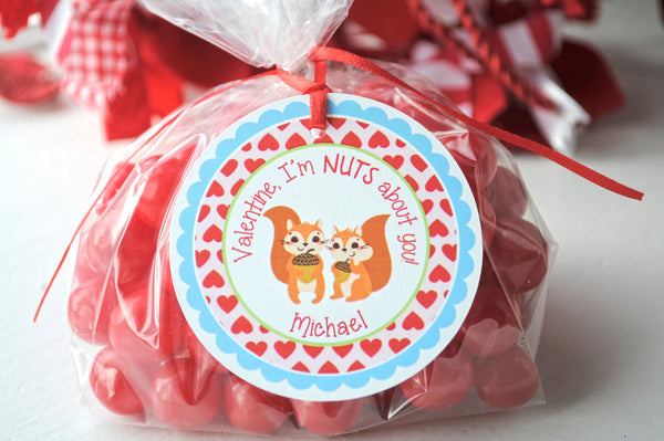 Nuts About You Valentines Day Favor Tags, School Valentines Day Treat Tags, Classroom Valentine Party, Goody Bag Tags - Set of 12 Tags