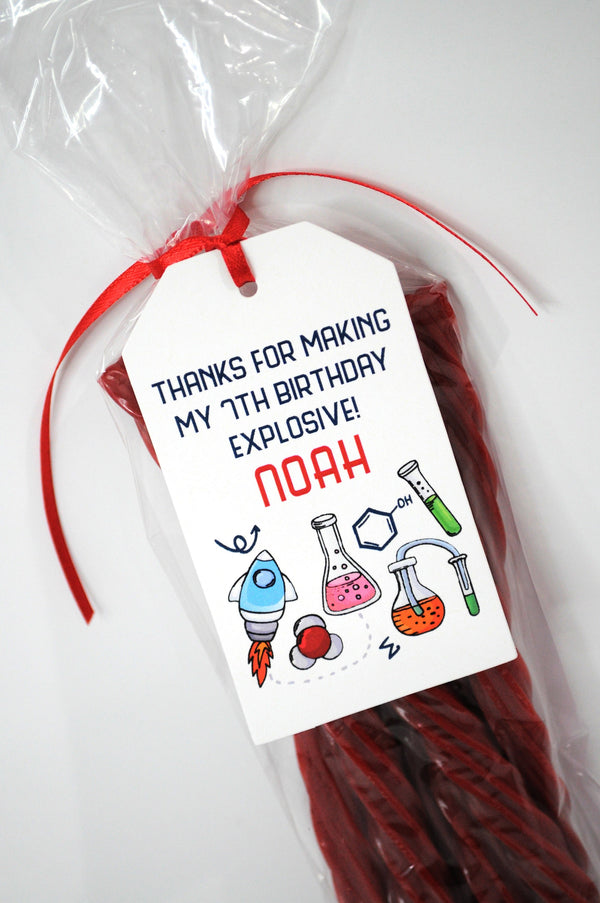 Science Birthday Party Favor Tags, Mad Scientist Birthday Party Favor Tags, Science Maker Party Favors, Thank You Tags - Set of 12