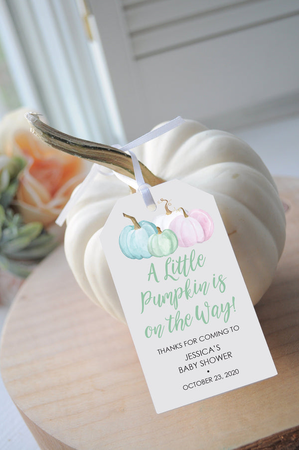 It&#39;s A Little Pumpkin Boy or Girl Baby Shower Blue and Pink Pumpkin Favor Tags, Gender Reveal Pumpkin Thank You Favor Tags - Set of 12