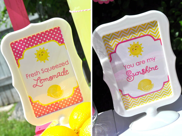 You Are My Sunshine Birthday 4x6 Signs, Lemonade Birthday, 1st Birthday, Pink Lemonade Birthday Party Decorations - (2) 4x6 Printed Signs
